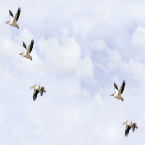 kag exclusive tiles showroom in trichy, tiles showroom in trichy, tiles dealers in trichy, kag tiles exclusive showroom in trichy